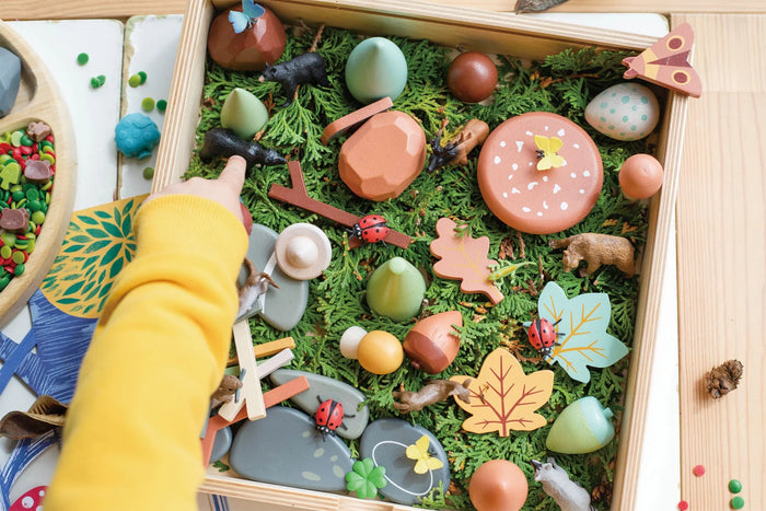 Tender Leaf Toys