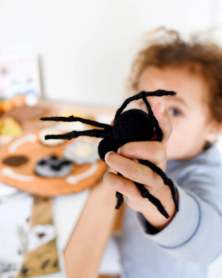 Sale Felt Lifecycle of a Redback Spider