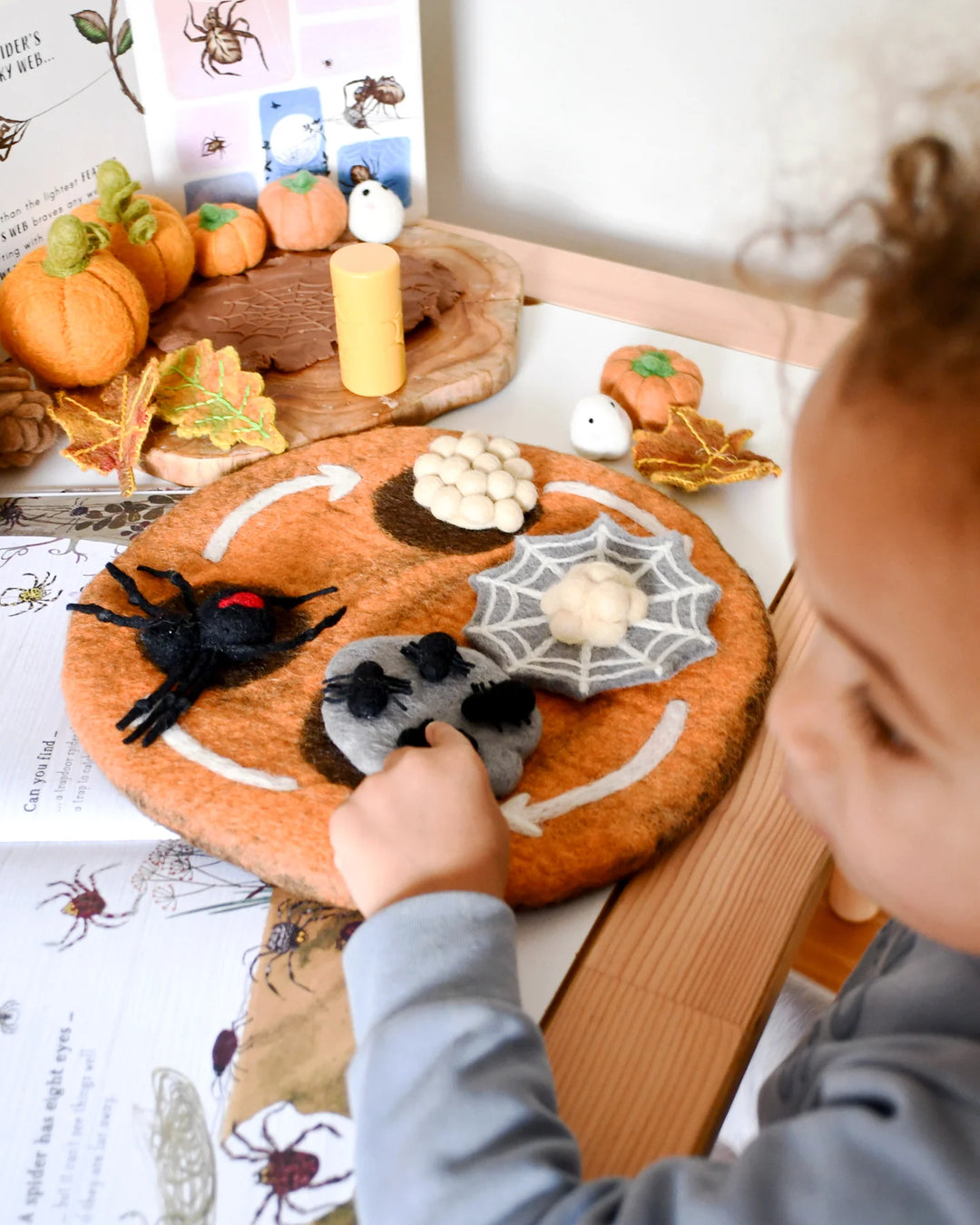 Sale Felt Lifecycle of a Redback Spider