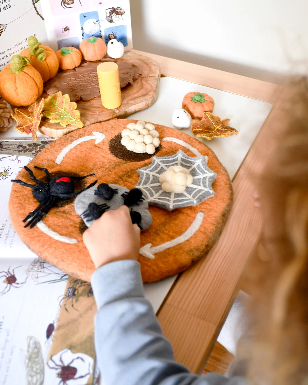 Sale Felt Lifecycle of a Redback Spider