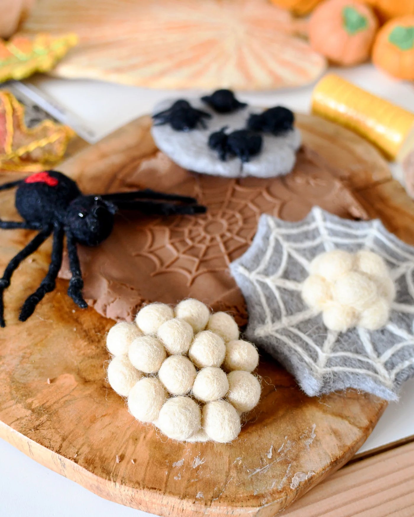 Felt Lifecycle of a Redback Spider