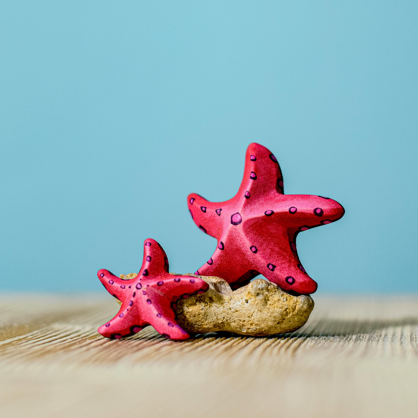 Sale Bumbu Red Starfish, Set of 2