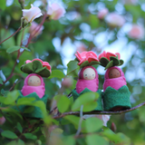 Fairyshadow Rosebud Child · view 1