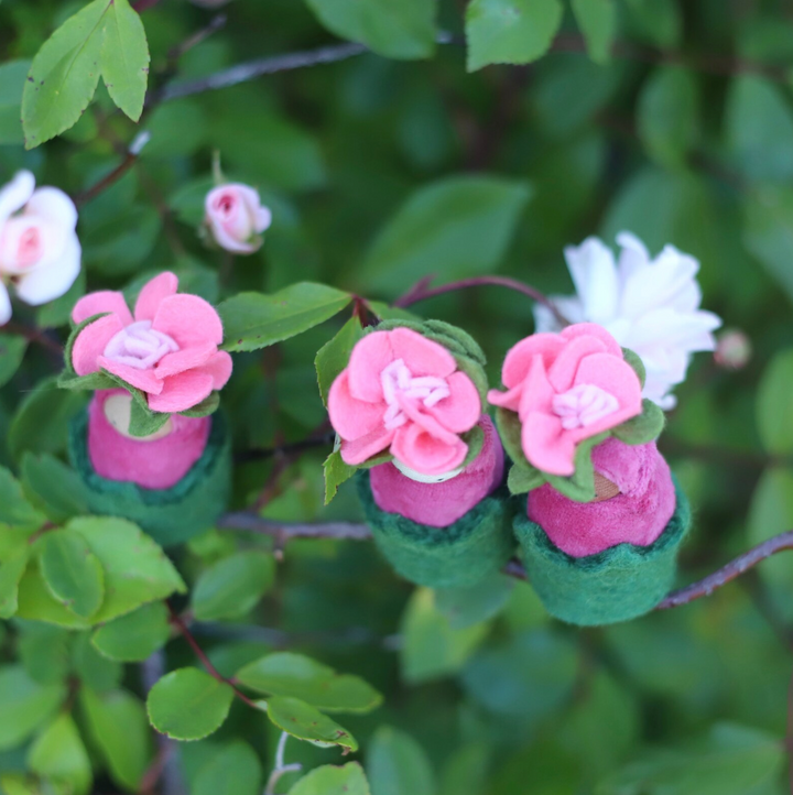 Fairyshadow Rosebud Child