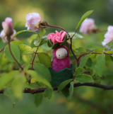 Fairyshadow Rosebud Child · view 5