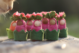 Fairyshadow Rosebud Child · view 3