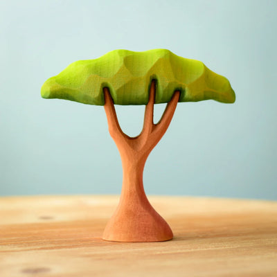 Pre-Order Bumbu Small Acacia Tree (Ships in July)