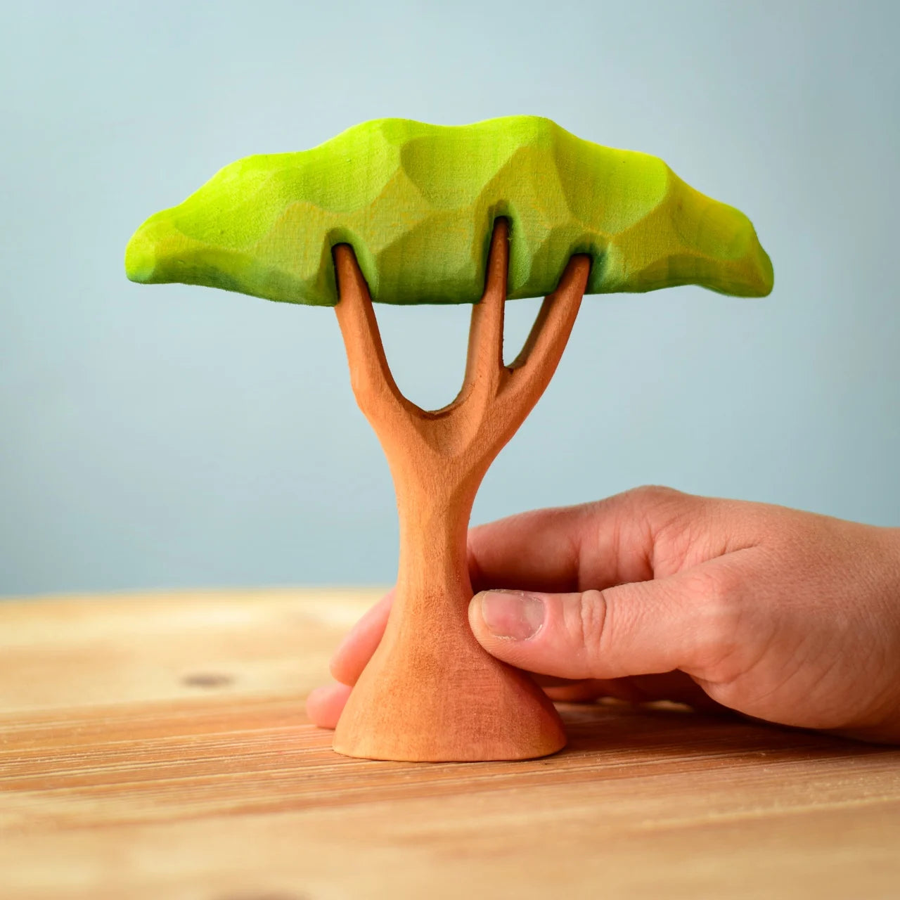 Pre-Order Bumbu Small Acacia Tree (Ships in July)