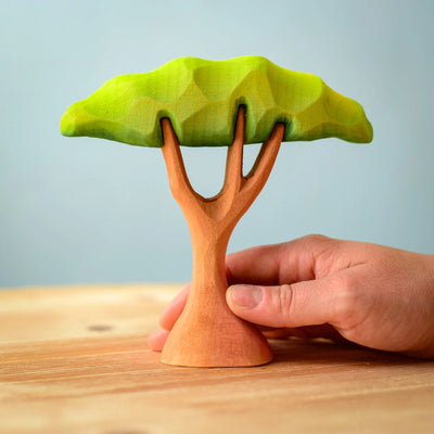 Pre-Order Bumbu Small Acacia Tree (Ships in July)