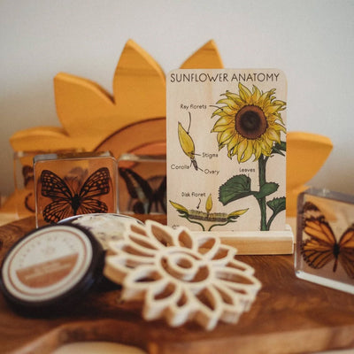 Sunflower Eco Cutter