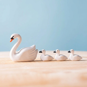 Swan and three cygnets