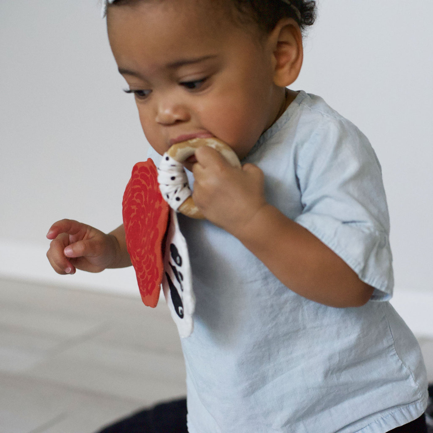 Crinkle Teether - Butterfly