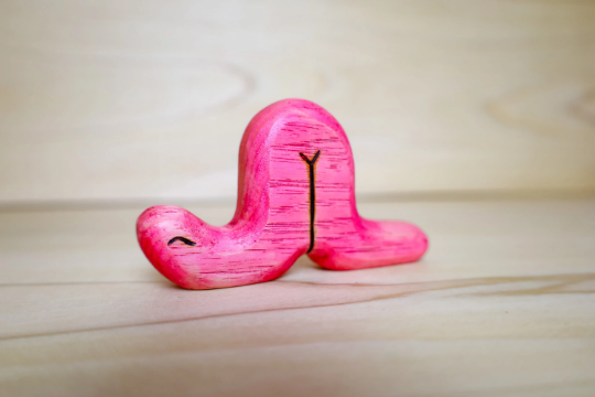 Wooden Earthworm Toy