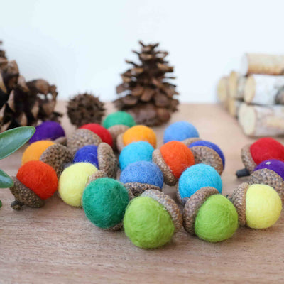 Rainbow Felted Acorns (Set of 10)