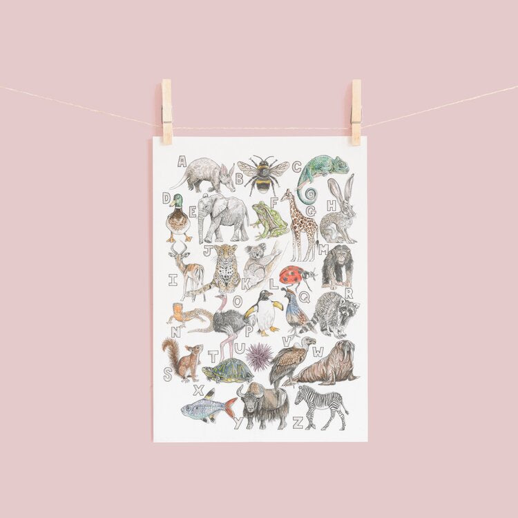 Sale Animal Alphabet Print