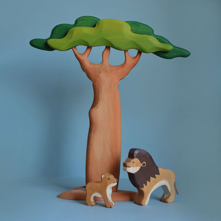 Sale Bumbu Baobab Tree, Tall