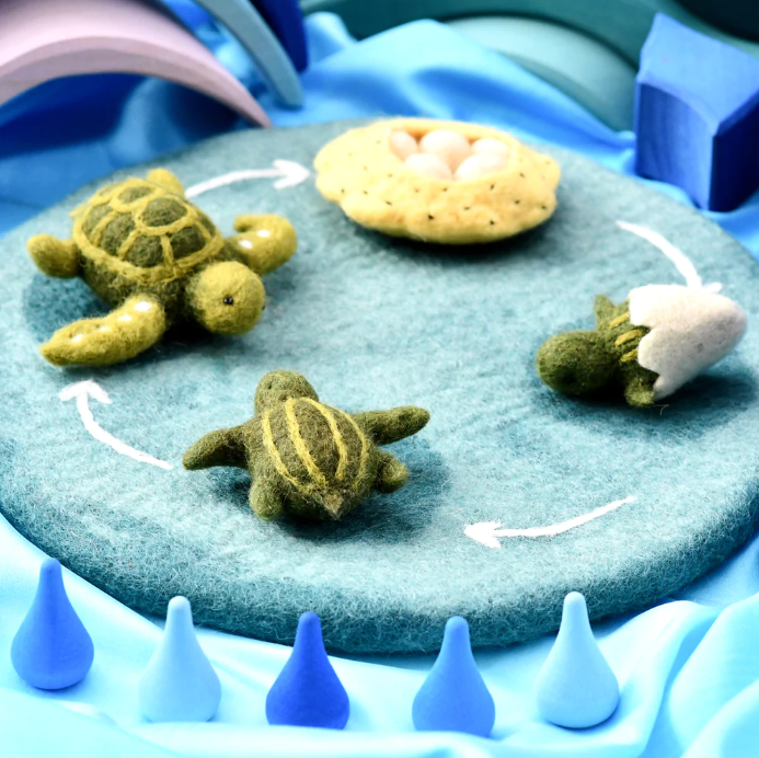 Felt Lifecycle of a Green Sea Turtle Toy