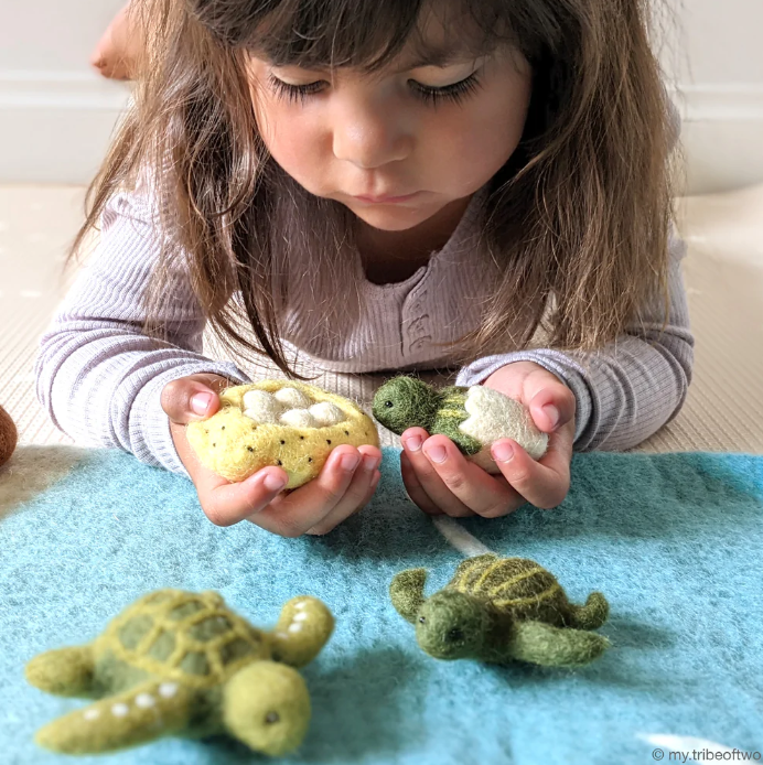 Felt Lifecycle of a Green Sea Turtle Toy
