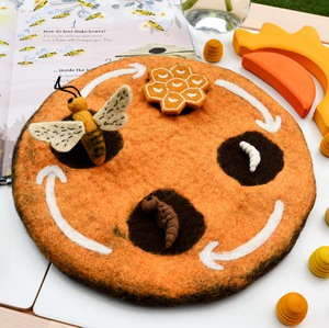 Honey Bee Life Cycle
