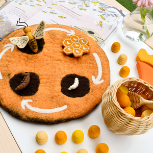 Honey Bee Life Cycle