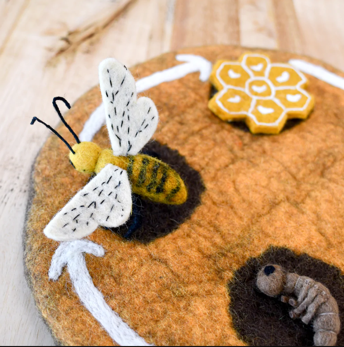 Felt Lifecycle of a Honey Bee