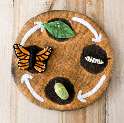 Felt Lifecycle of a Monarch Butterfly