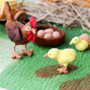 Chicken Life Cycle