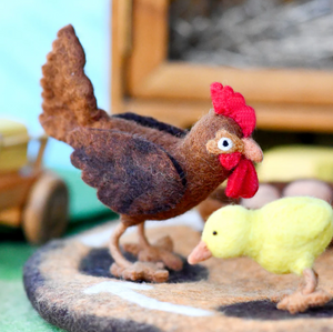 Chicken Life Cycle