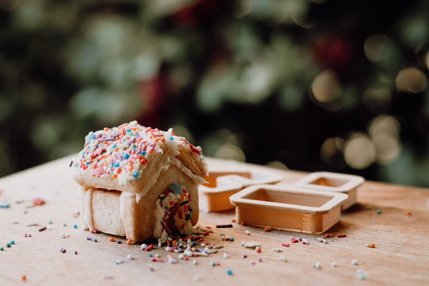 Gingerbread House Eco Cutter