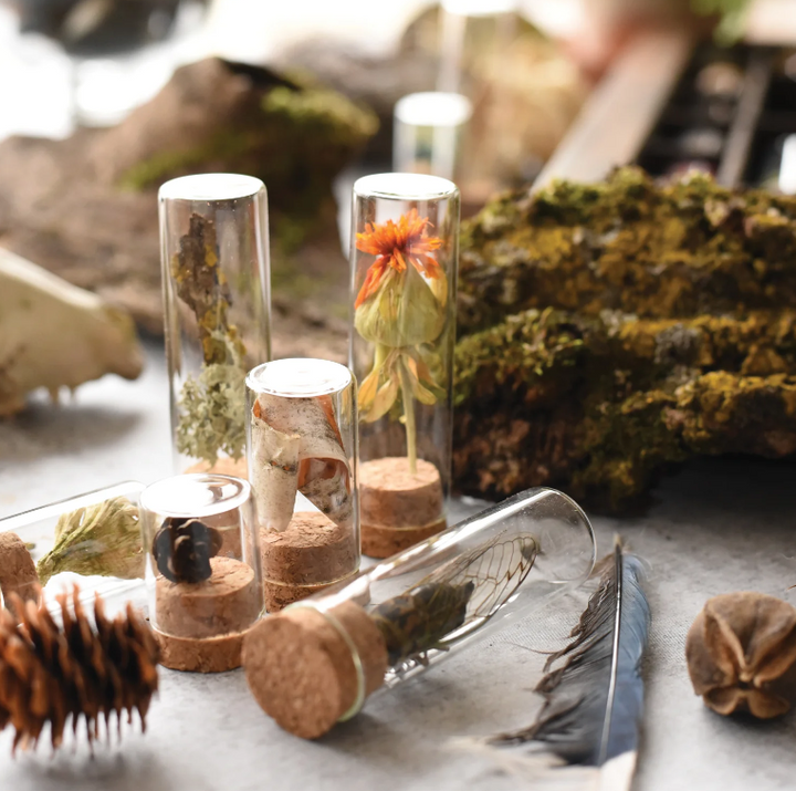 June &amp; December Large Specimen Bottles with Cork, Set of 10