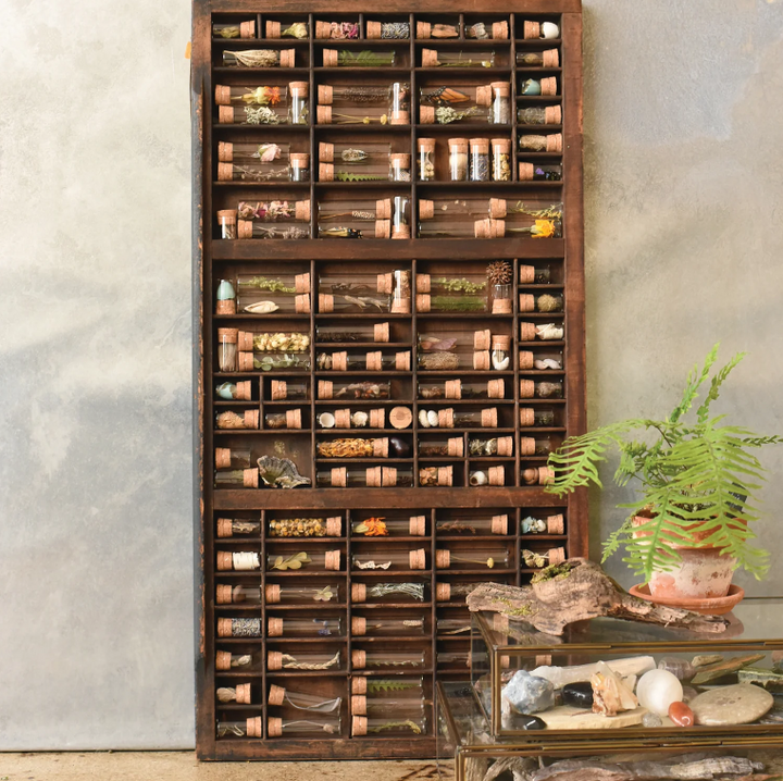 June &amp; December Large Specimen Bottles with Cork, Set of 10