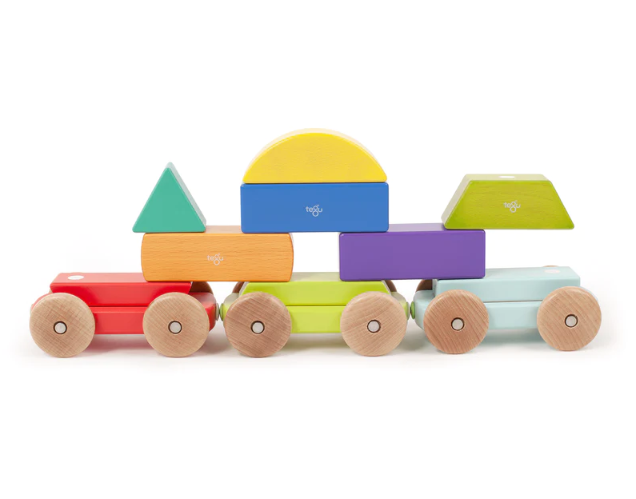 Tegu Magnetic Shape Train, Rainbow