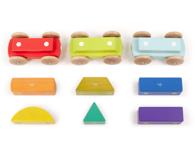 Tegu Magnetic Shape Train, Rainbow