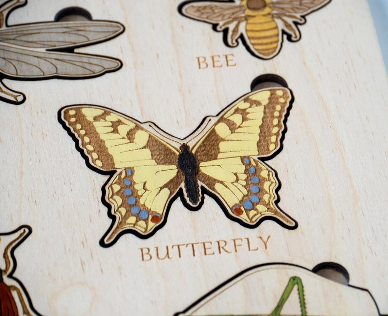 Montessori Insect Puzzle