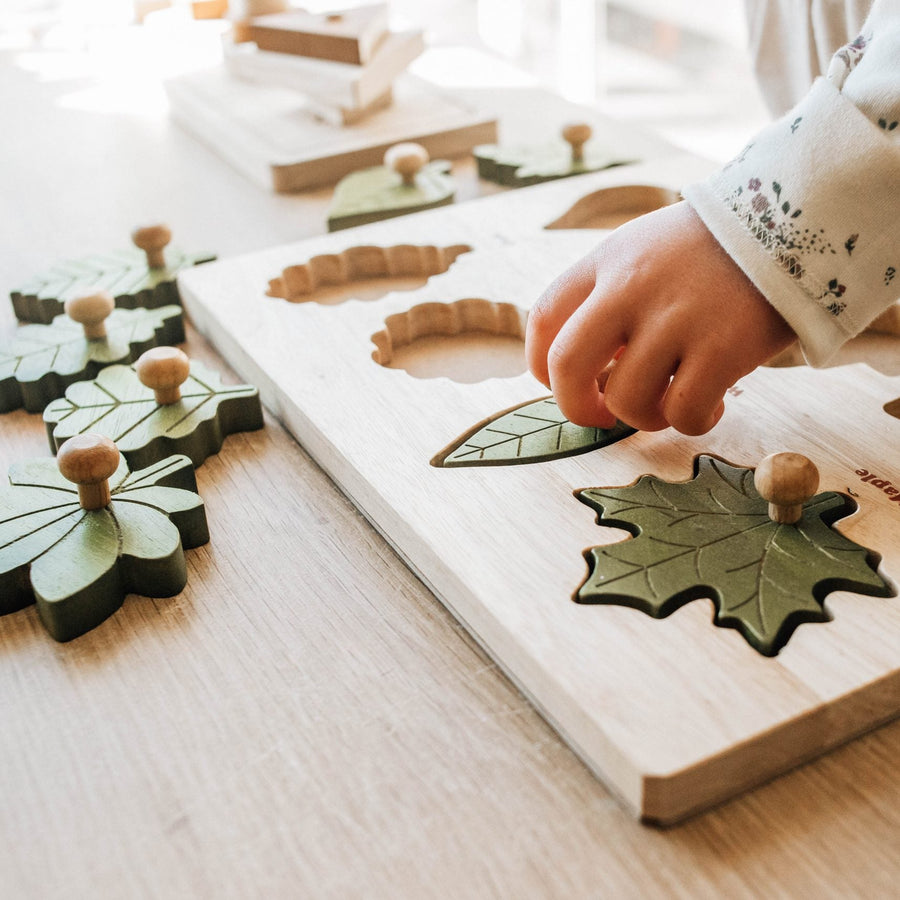 Q Toys Montessori Leaf Puzzle