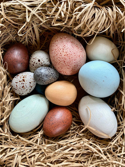 Moon Picnic A Dozen Bird Eggs in a Box