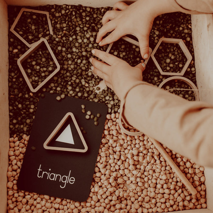 Shapes Eco Cutter Set