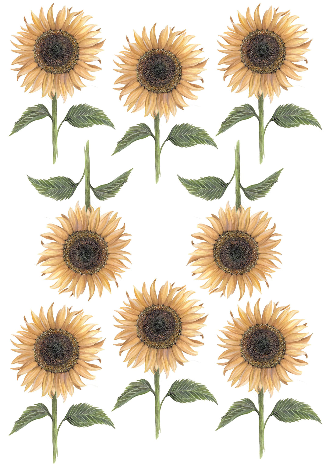Sale Floral &amp; Fern Sunflower Wall Decals