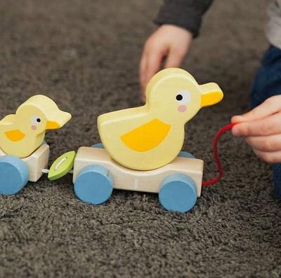 Sale Tender Leaf Toys Pull Along Ducks