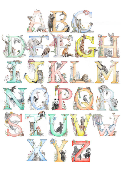 The Letter Alphabet Print