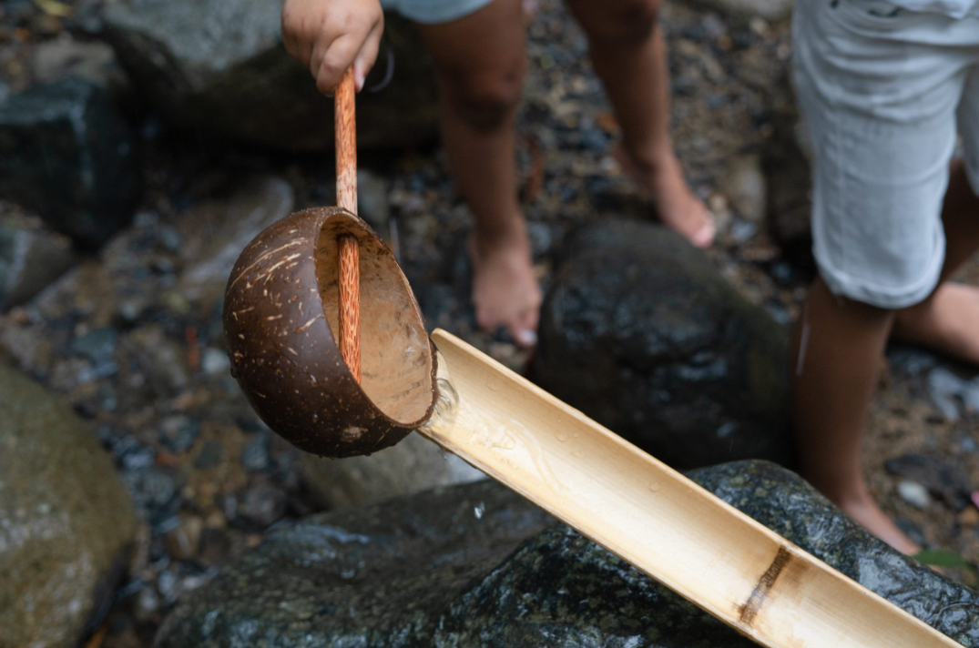 Q Toys Coconut Shell Water Scoop