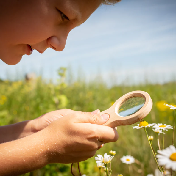 Huckleberry Dual Magnifier