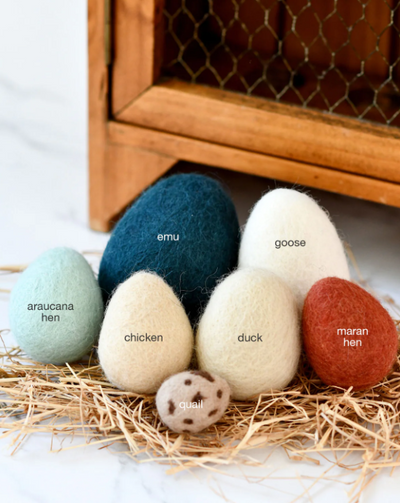 Felt Eggs, Set of 7