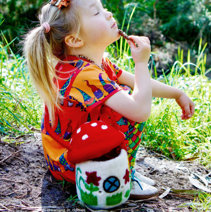 Sale Felt Mushroom Toadstool Bag