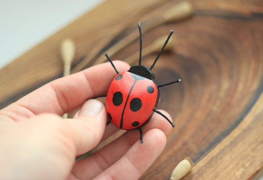 Sale Wooden Ladybug