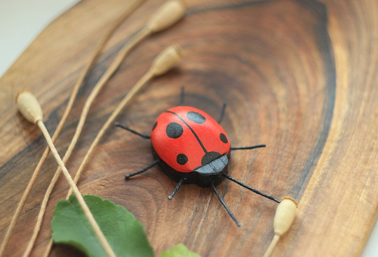 Sale Wooden Ladybug