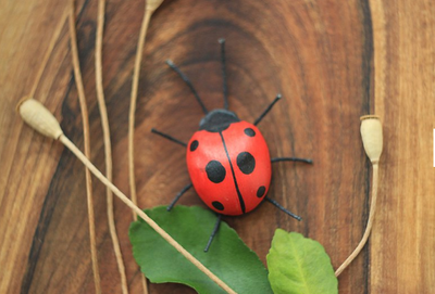 Sale Wooden Ladybug