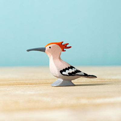 Bumbu Hoopoe Bird