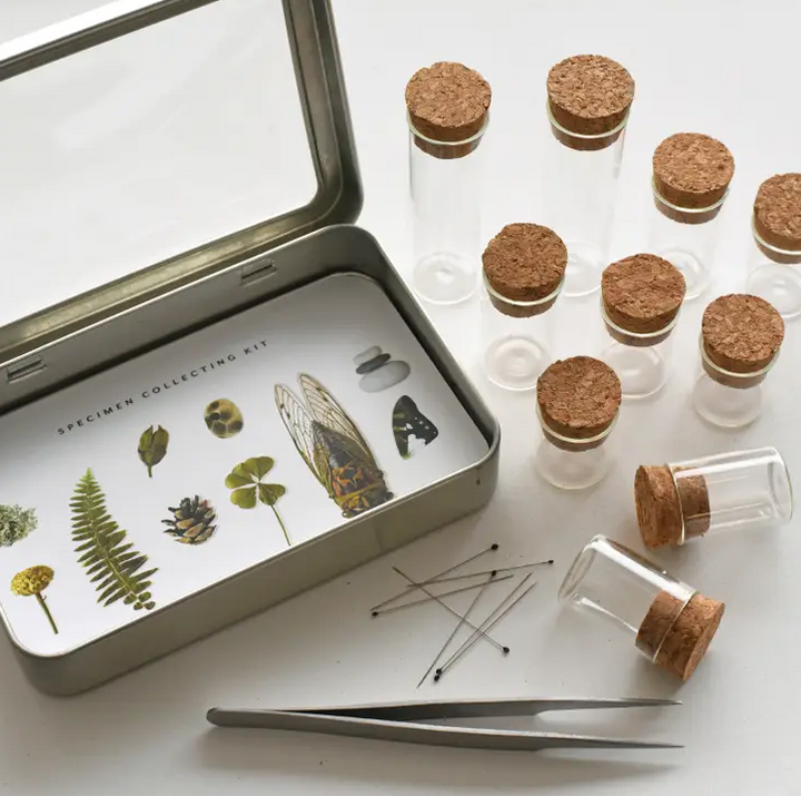 June &amp; December Specimen Collecting Kit