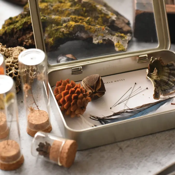 June &amp; December Specimen Collecting Kit